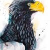 Steller's sea eagle