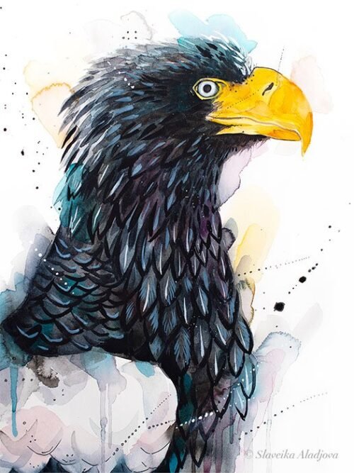 Steller's sea eagle
