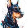 Doberman