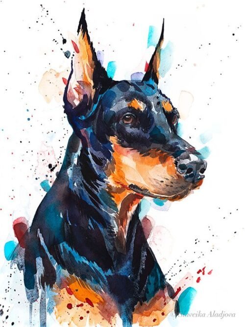 Doberman