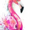 Pink Flamingo