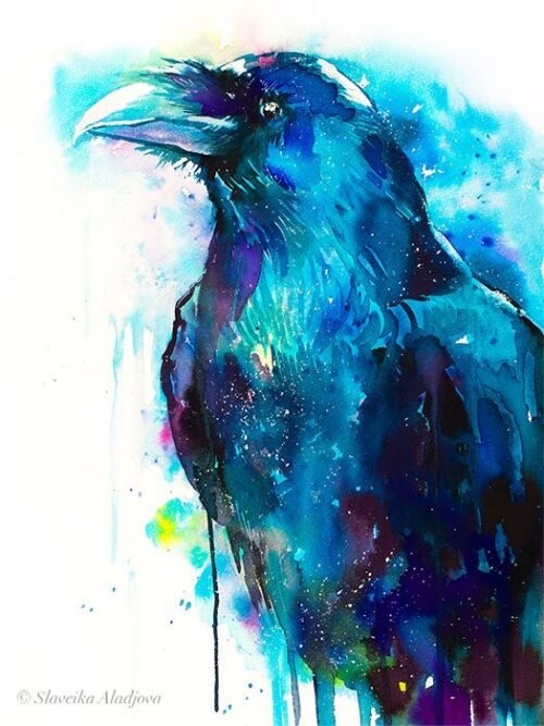 Raven