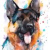 German Shepherd North