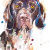 German Shorthaired Pointer German Shorthaired Pointer