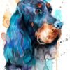 Gordon Setter