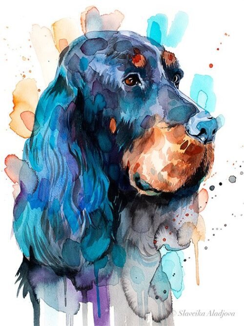 Gordon Setter