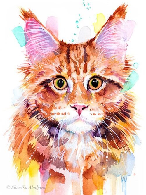 Maine Coon Cat Red Tabby