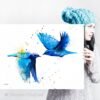 Mountain bluebird