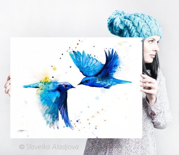 Mountain bluebird