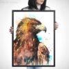 Bald Eagle Bald Eagle