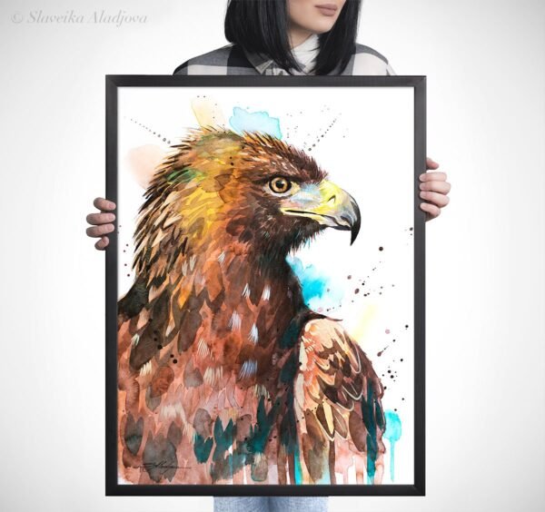 Bald Eagle Bald Eagle