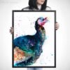 Turkey bird