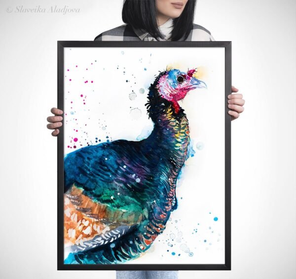 Turkey bird