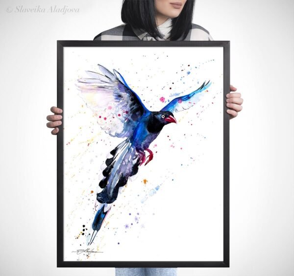 Taiwan Blue Magpie Taiwan Blue Magpie
