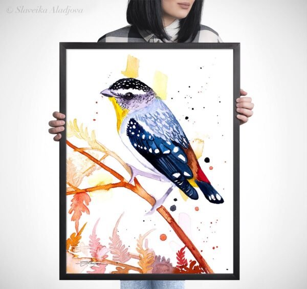 Spotted Pardalote Spotted Pardalote