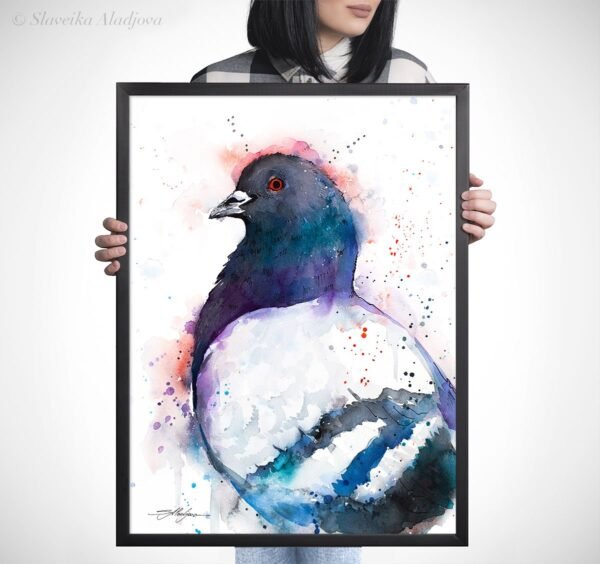 Pigeon