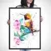 Rufous hummingbird Rufous hummingbird