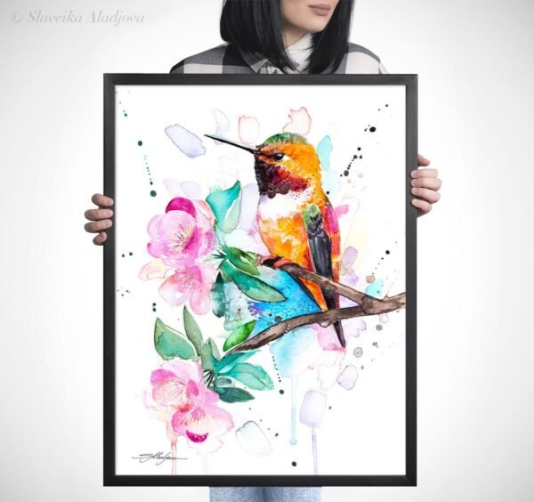 Rufous hummingbird Rufous hummingbird
