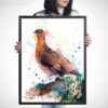 Red grouse