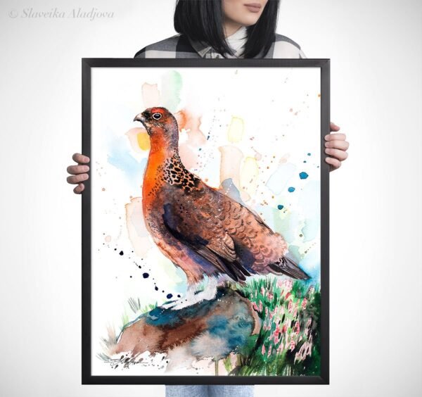 Red grouse