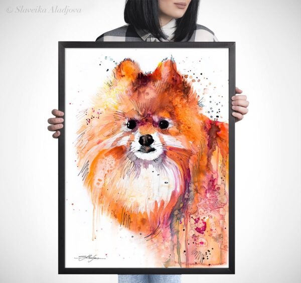 Pomeranian