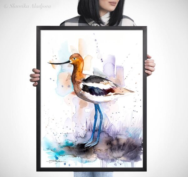 American Avocet