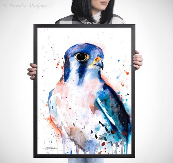 American Kestrel