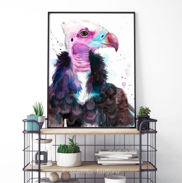 White-headed vulture