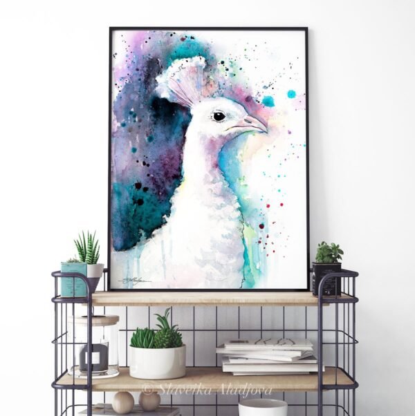 White Peacock