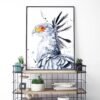 Secretary bird Secretary bird