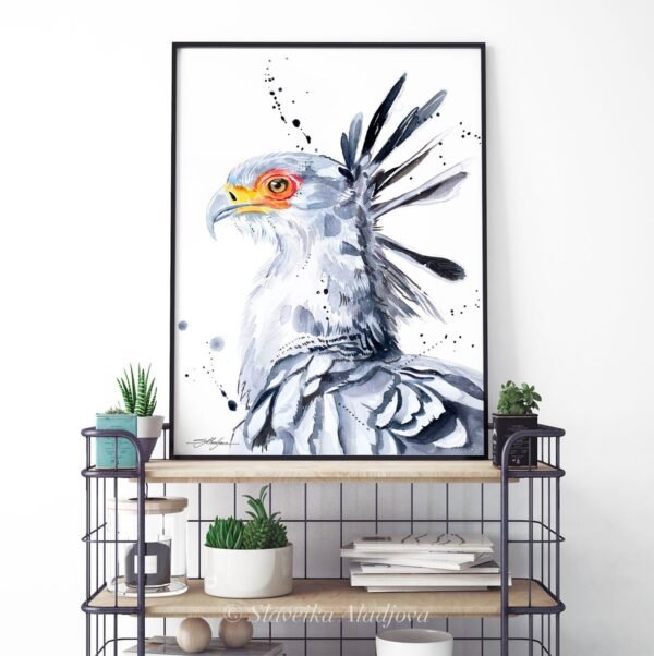 Secretary bird Secretary bird