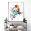 Rufous hummingbird Rufous hummingbird