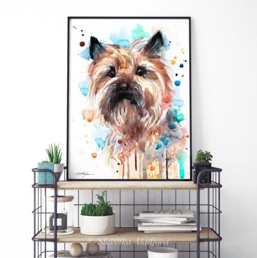 Cairn Terrier color