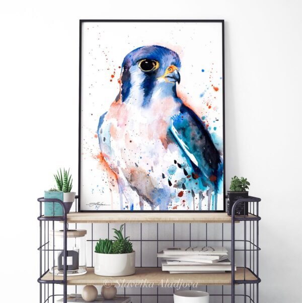 American Kestrel