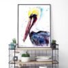 Brown pelican