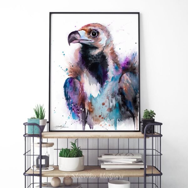 Cinereous vulture, Eurasian black vulture Cinereous vulture, Eurasian black vulture