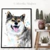 Black And Tan Shiba Inu