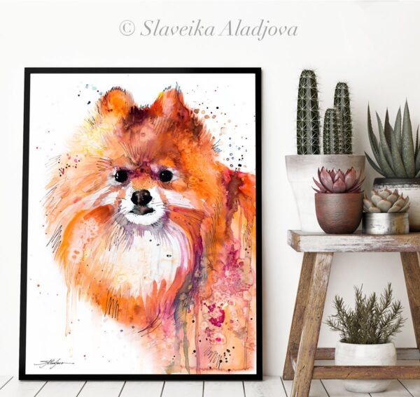 Pomeranian