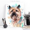 Cairn Terrier color