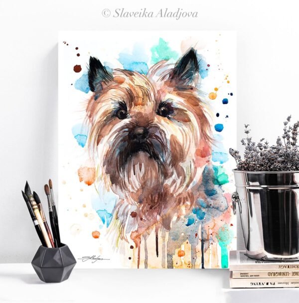 Cairn Terrier color