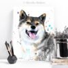 Black And Tan Shiba Inu