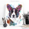 Cardigan Welsh Corgi