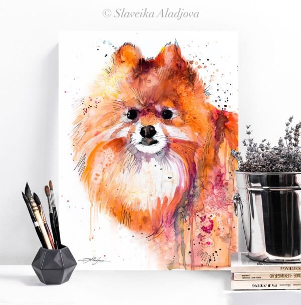 Pomeranian