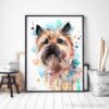 Cairn Terrier color