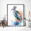 Shoebill