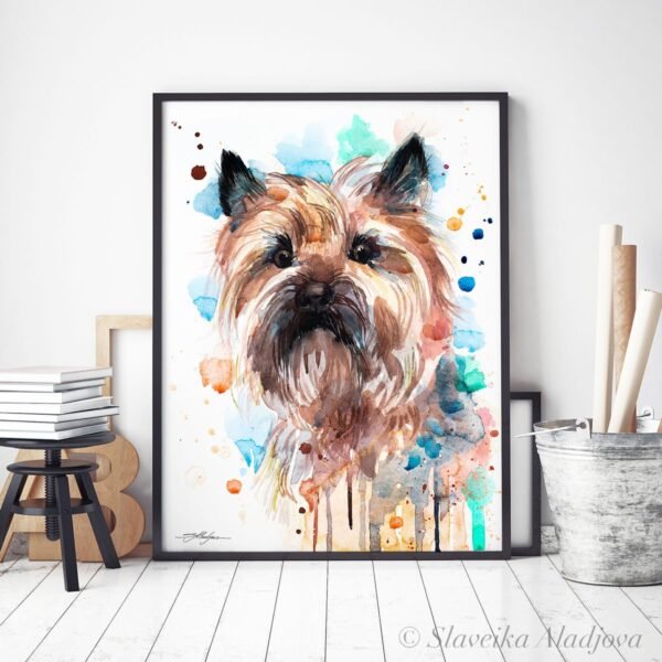 Cairn Terrier color