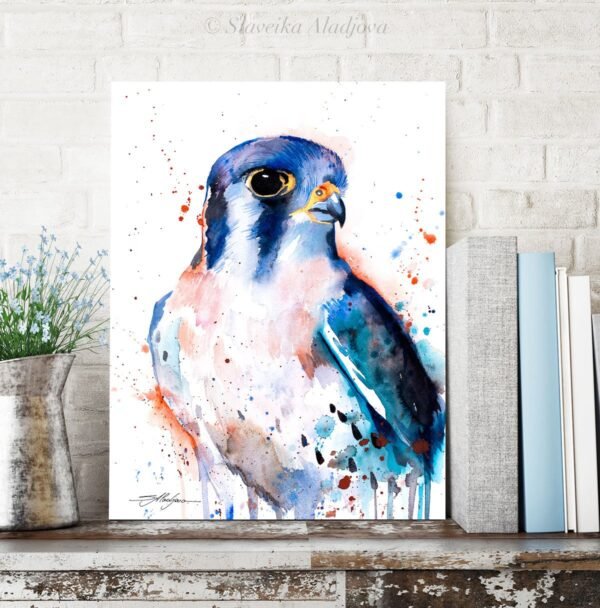 American Kestrel