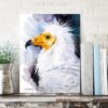 Egyptian Vulture, Old World Vulture, White Scavenger Vulture Egyptian Vulture, Old World Vulture, White Scavenger Vulture