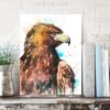 Bald Eagle Bald Eagle