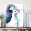 White Peacock